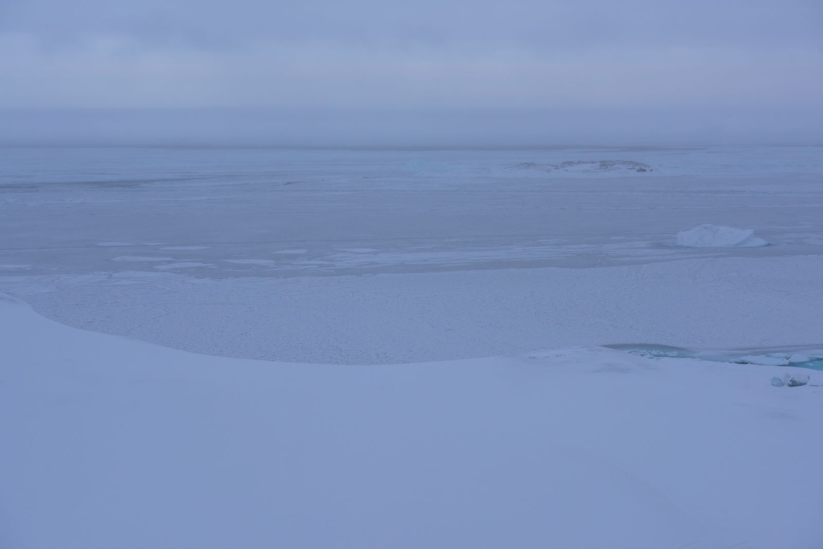 Ilulissat -Zatoka Disko